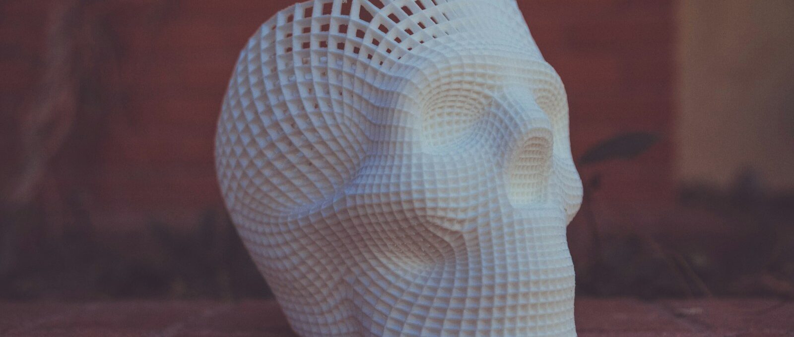 white human skull 3D artwork